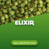 Hopfenpellets Elixir 100 g 0