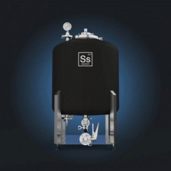 Ss Brewtech™ Brite Tank 2.0 1 bbl