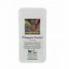WHC Lab trocken Bierhefe Pineapple Passion 11 g 0
