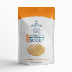 White Labs - WLP600 HB Kombucha Scoby