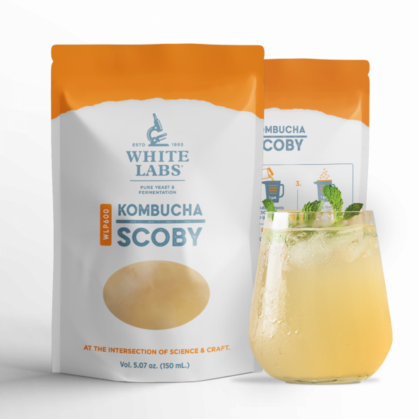 White Labs - WLP600 HB Kombucha Scoby 2
