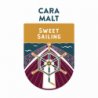 Pauls Malt - Cara Malt  25-35 EBC 1 kg 1