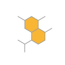 Enzyme